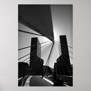 Brugstructuur Poster