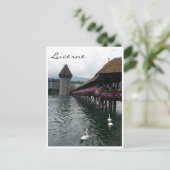 brugzwanen briefkaart (Staand voorkant)