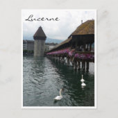 brugzwanen briefkaart (Voorkant)