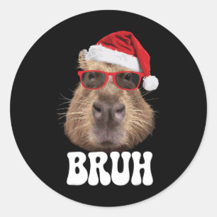 Bruh Capybyra Funny Santa Hat Christmas Season Pet Ronde Sticker