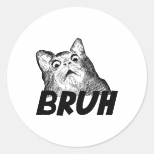 Bruh geschokt Gasp kat grappig Ronde Sticker