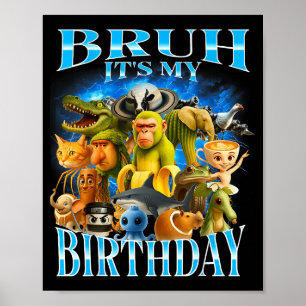 Bruh Het Is Mijn Verjaardag Grappige Brainrot Poster
