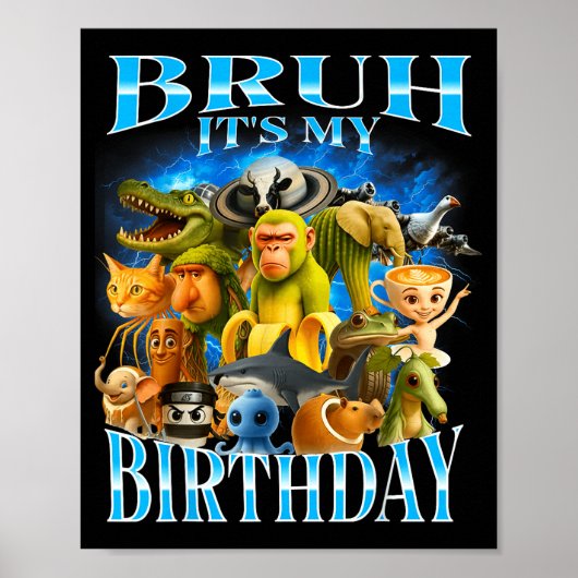 Bruh Het Is Mijn Verjaardag Grappige Brainrot Poster (Voorkant)