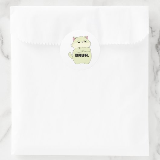 Bruh Kitty Sticker (Tas)