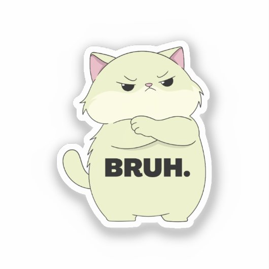 Bruh Kitty Sticker (Voorkant)
