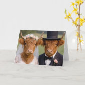 Bruid en Bruidegom Hooglanders Kaart (Gele Bloem)