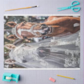 Bruid en bruidegom Paarden Getting Married Tissuepapier (Craft)