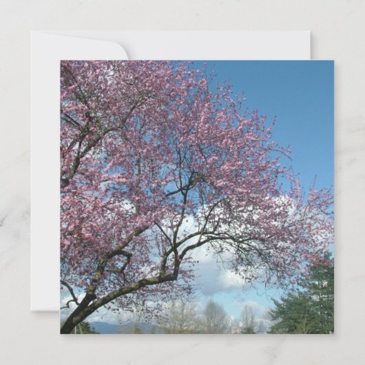 bruidale doucheuitnodiging, kersenbloesem kaart (Achterkant)