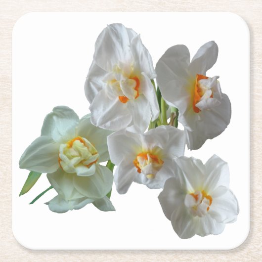 Bruids Kroon Daffodils Close Up Papier Onderzetter (Voorkant)