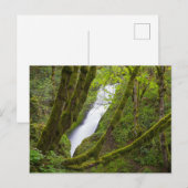 Bruids sluier waterval briefkaart (Voorkant / Achterkant)