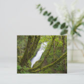 Bruids sluier waterval briefkaart (Staand voorkant)