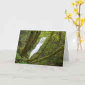 Bruids sluier waterval kaart (Gele Bloem)
