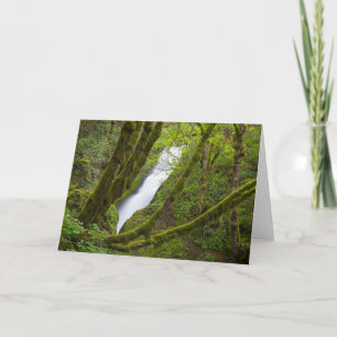 Bruids sluier waterval kaart