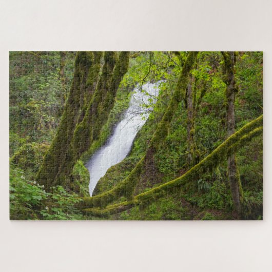 Bruids sluier waterval legpuzzel (Horizontaal)