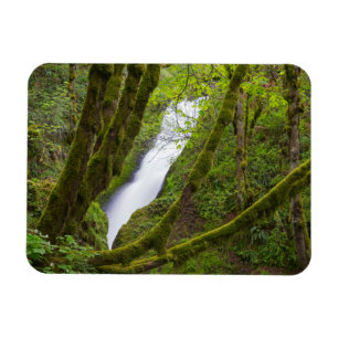 Bruids sluier waterval magneet