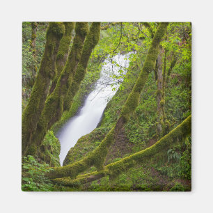 Bruids sluier waterval magneet