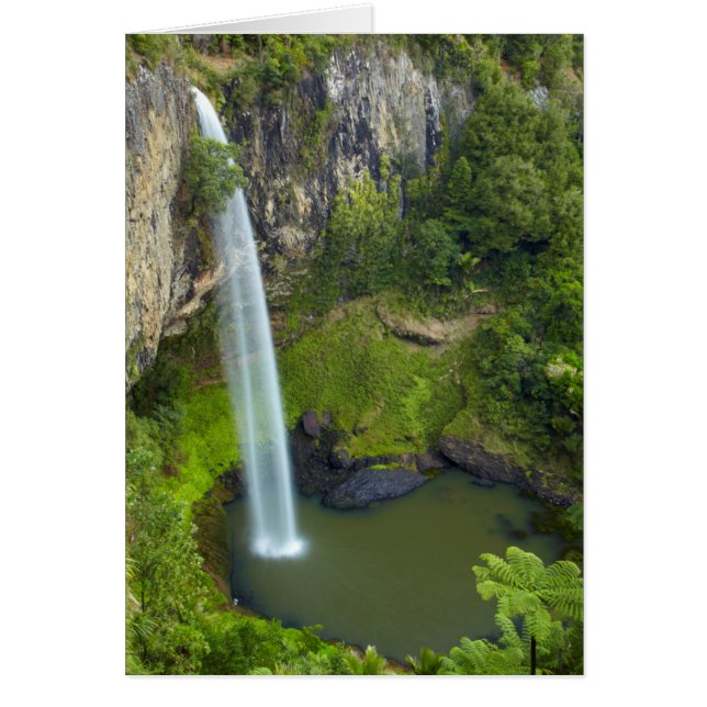 Bruids sluier waterval, Nieuw-Zeeland (Voorkant)