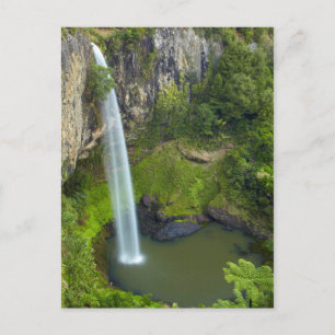 Bruids sluier waterval, Nieuw-Zeeland Briefkaart