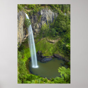 Bruids sluier waterval, Nieuw-Zeeland Poster