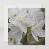 Bruidsdouche uitnodiging, witte azalea bloemen kaart (Achterkant)