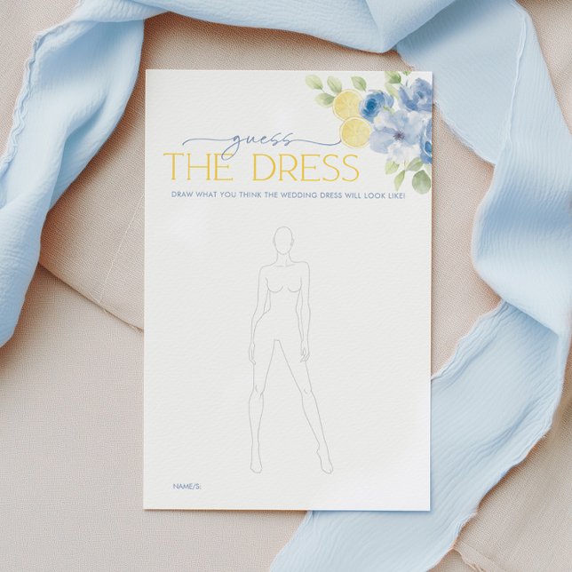 Bruidsfeest spel Raad de jurk Hoofdprijs  (Guess the Dress! Bridal Shower Game)