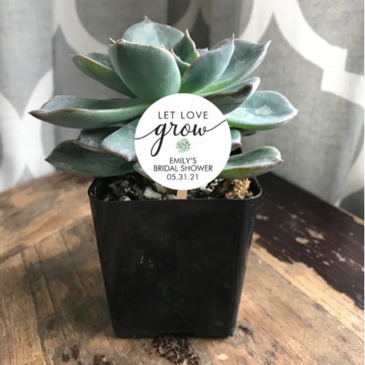 Bruidsfeest Succulent Favor Ronde Sticker