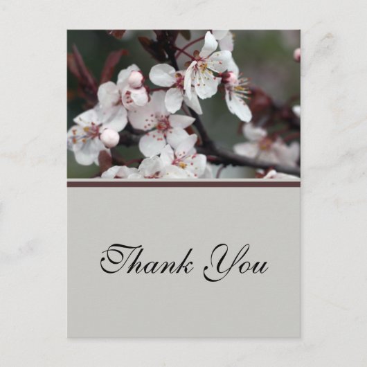 bruiloft bedankt stickers, kaarten, enz. briefkaart (Voorkant)