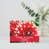 Bruiloft Change of Plans Rode Dahlia Ansichtkaart Briefkaart (Staand voorkant)