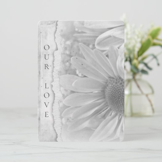 Bruiloft Daisy Macro met gescheurde rand Kaart (Staand voorkant)