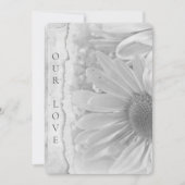 Bruiloft Daisy Macro met gescheurde rand Kaart (Voorkant)