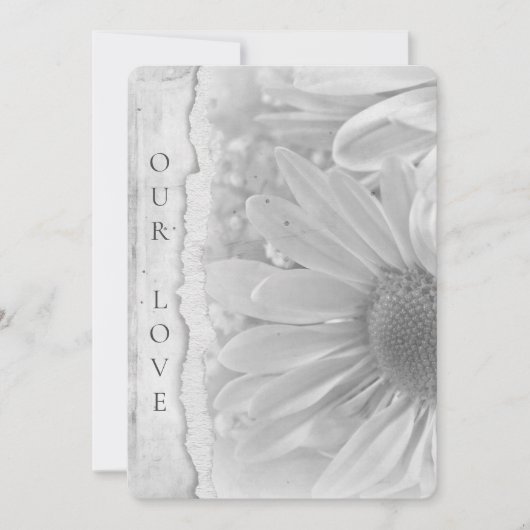 Bruiloft Daisy Macro met gescheurde rand Kaart (Voorkant)