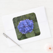 Bruiloft Envelop Stickers Blauw Hydrangea Bloem (Envelop)