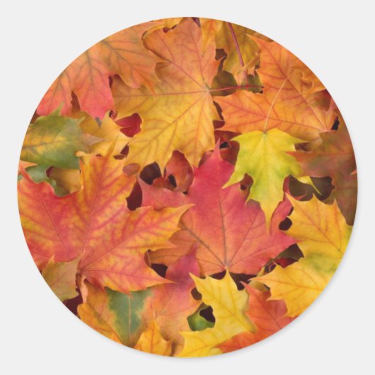 Bruiloft herfst bladeren herfst kleuren Sinaasappe Ronde Sticker (Voorkant)