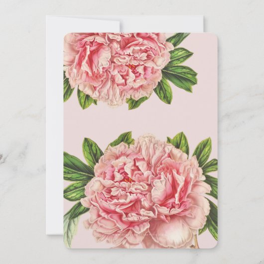 BRUILOFT INVITE chique blush roze bloemenpioen blo Kaart (Achterkant)