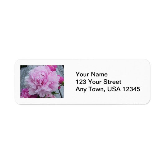 Bruiloft retour adres labels roze pioenrozen bloem (Voorkant)