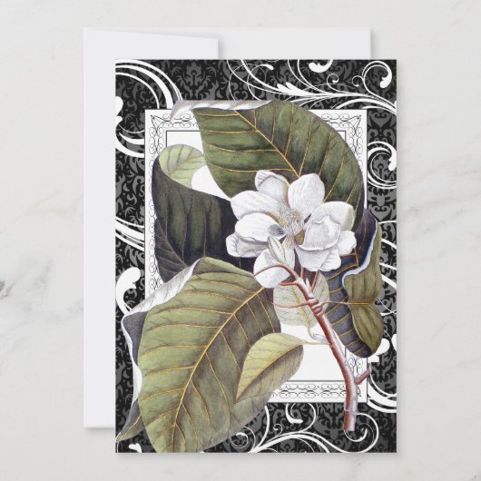 Bruiloft Tafel Nummers Southern Belle Magnolia Kaart (Achterkant)