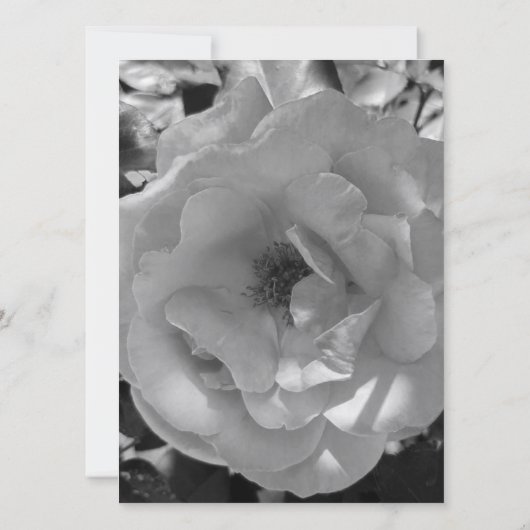 BRUILOFT UITNODIGING Flat Kaart ROOS STIJL ONTWERP (Achterkant)