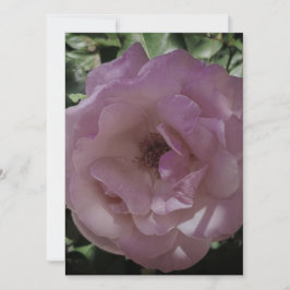 BRUILOFT UITNODIGING Flat Kaart ROOS STIJL ONTWERP