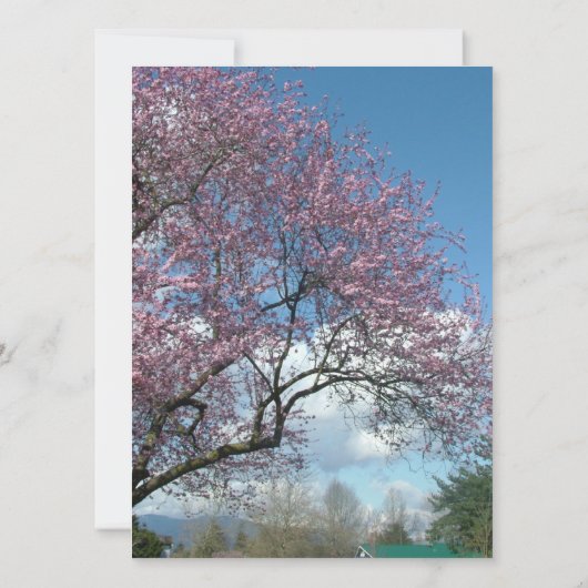 bruiloft , uitnodiging van de ouders van groom - b (Achterkant)