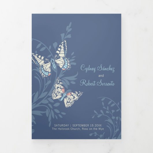 Bruiloft vernieuwing programma tinten van blauwe v (Cover)