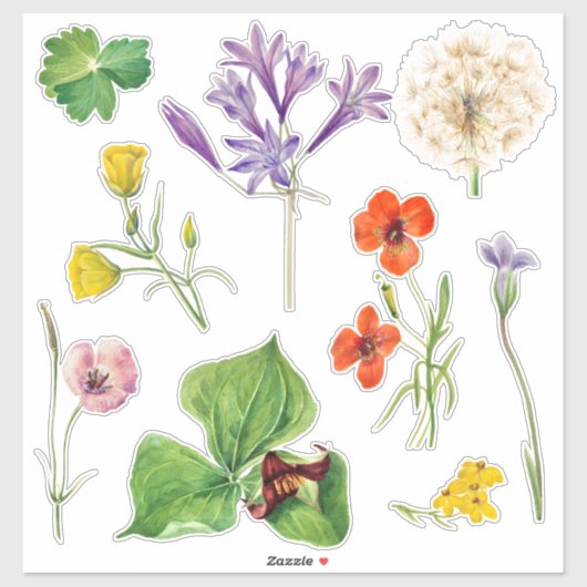 Bruiloft Welkomstbord Kleurrijke Wildflower Sticker (Vel)