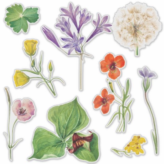 Bruiloft Welkomstbord Kleurrijke Wildflower Sticker (Voorkant)