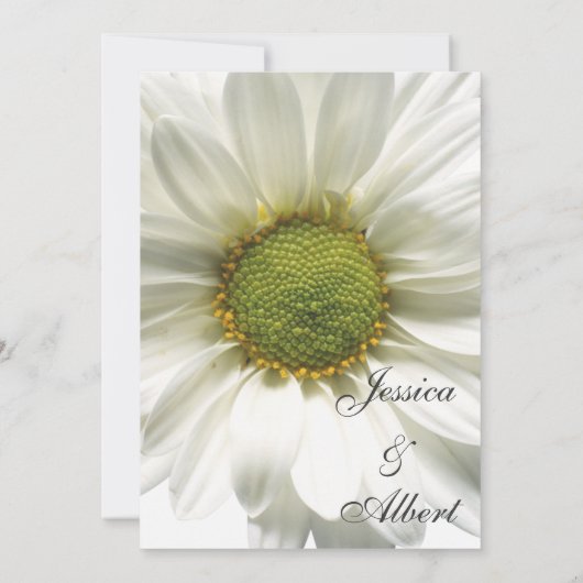 Bruiloft witte grote madeliefje uitnodiging (Achterkant)