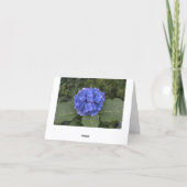 Bruiloftsshower Blauwe Hortensia Dank Je Kaarten (Achterkant)