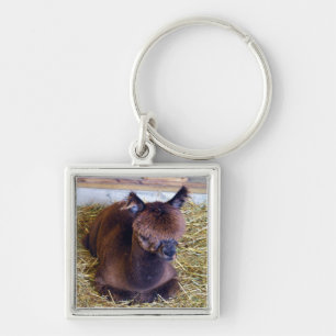 Bruin Alpaca Sleutelhanger