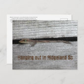 Bruin Anole Briefkaart (Voorkant / Achterkant)