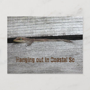Bruin Anole Briefkaart