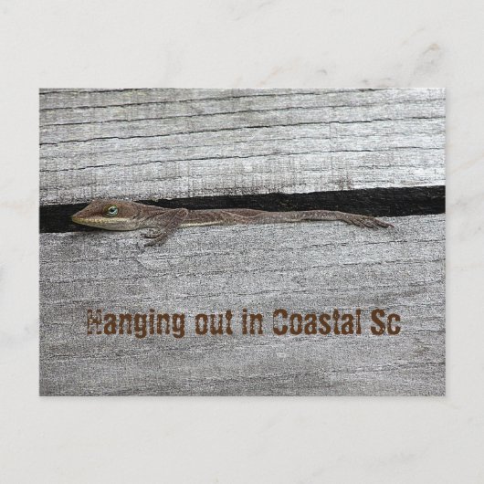 Bruin Anole Briefkaart (Voorkant)