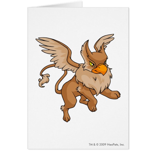 Bruin arendsnest (Voorkant)