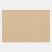 Bruin Baby Lion Elephant Rhino Inpakpapier Vel (Voorkant 3)